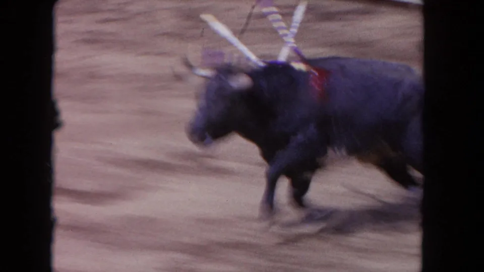 1962 Los Angeles 8mm frame of the black bull running across the sandy arena, blurred by speed and handheld filming.