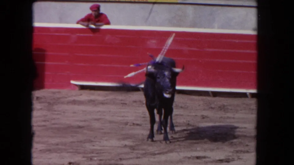 1962 Los Angeles 8mm frame showing a black bull near red arena boards while a man in red watches from behind the wall.