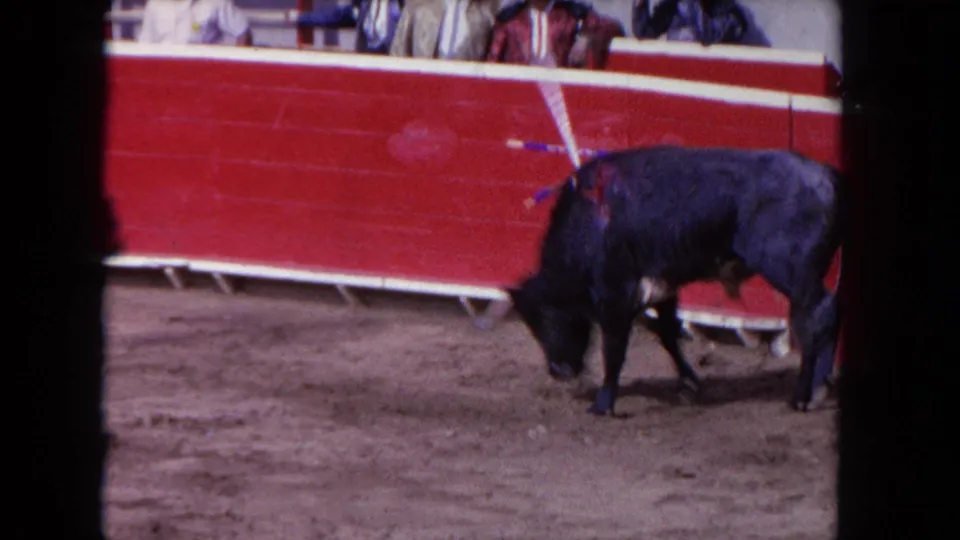 1962 Los Angeles 8mm frame of a black bull lowering its head in the arena, with spectators partly visible beyond the red boards.
