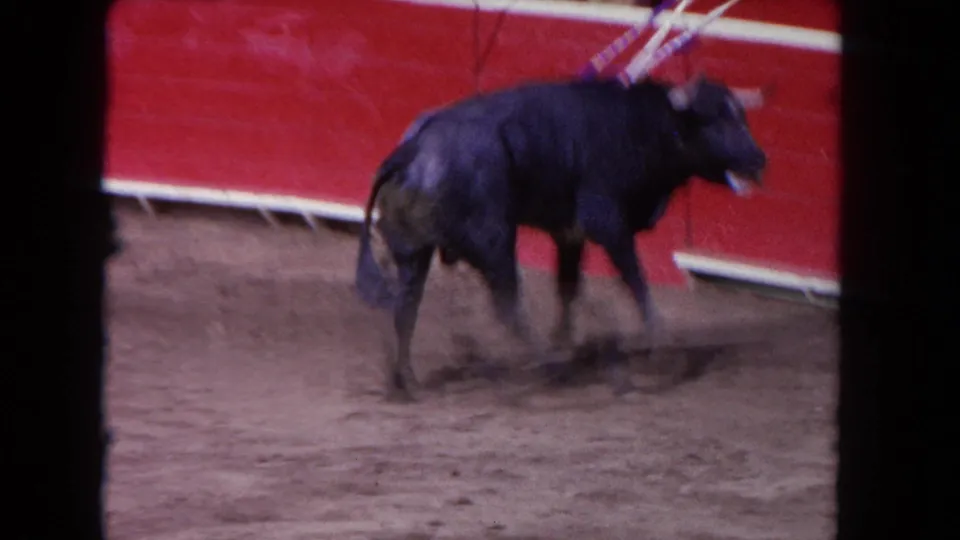 1962 Los Angeles 8mm frame showing a black bull in side view moving along the red arena wall with dust rising from the ground.
