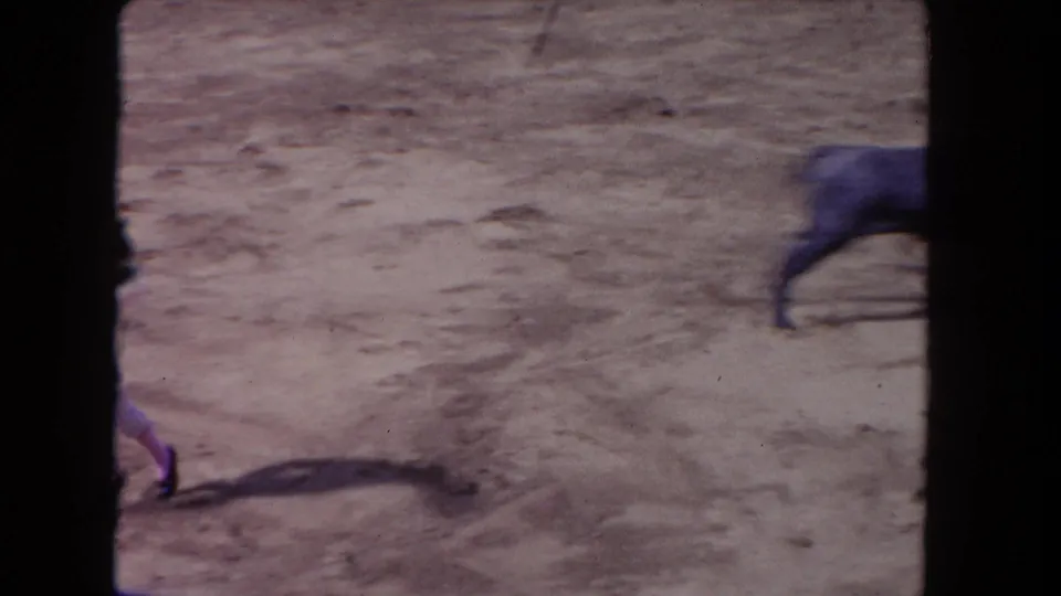 A bull moves through a sandy arena in spectator-shot 8mm footage from the 1962 Los Angeles clip.