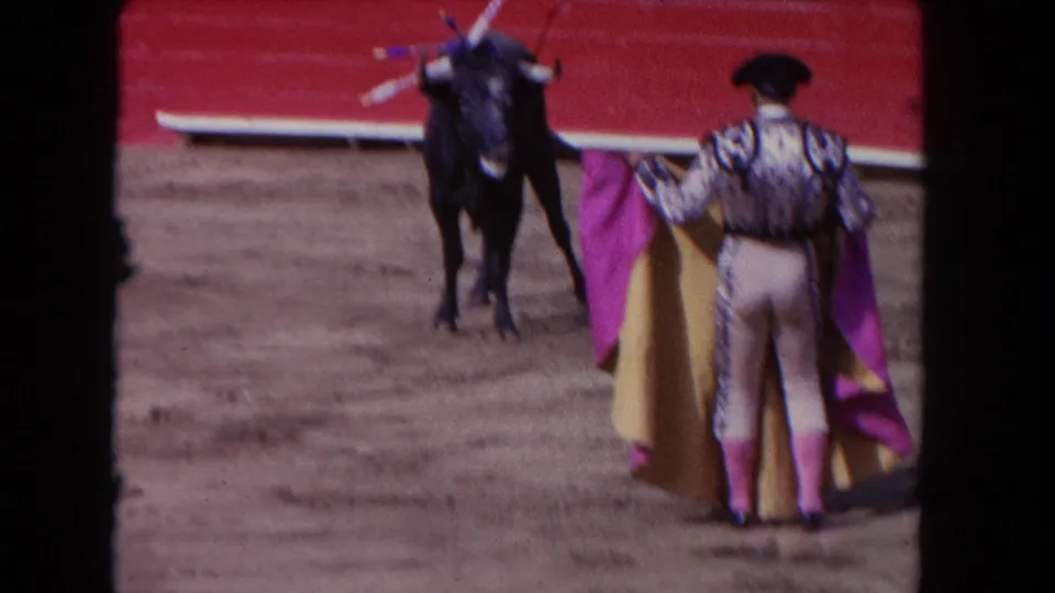 A matador in ornate dress faces a black bull with a purple and gold cape in the sandy Los Angeles arena.