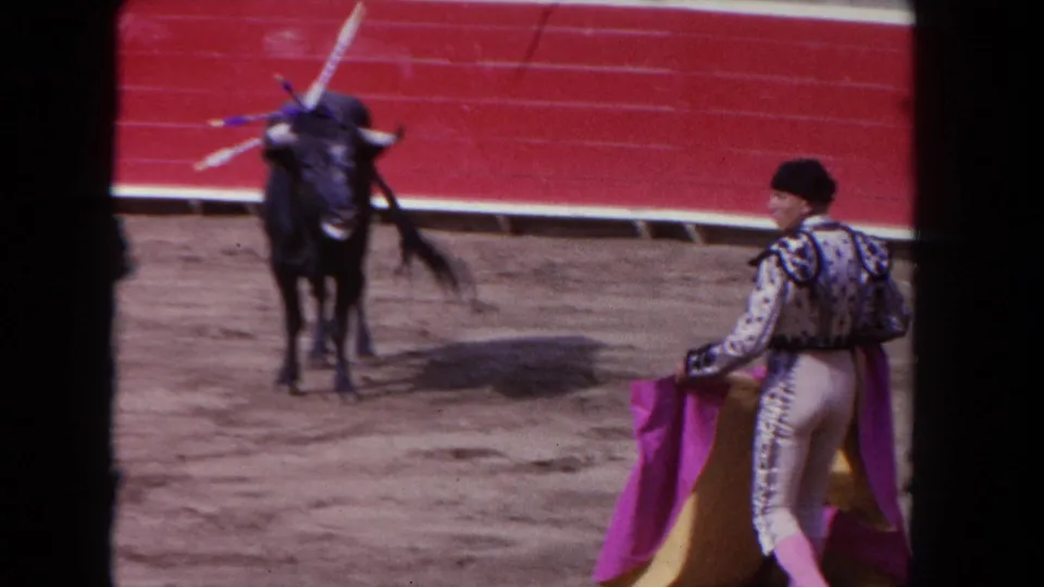 The matador holds the purple and gold cape while the black bull faces him in the 1962 Los Angeles arena footage.