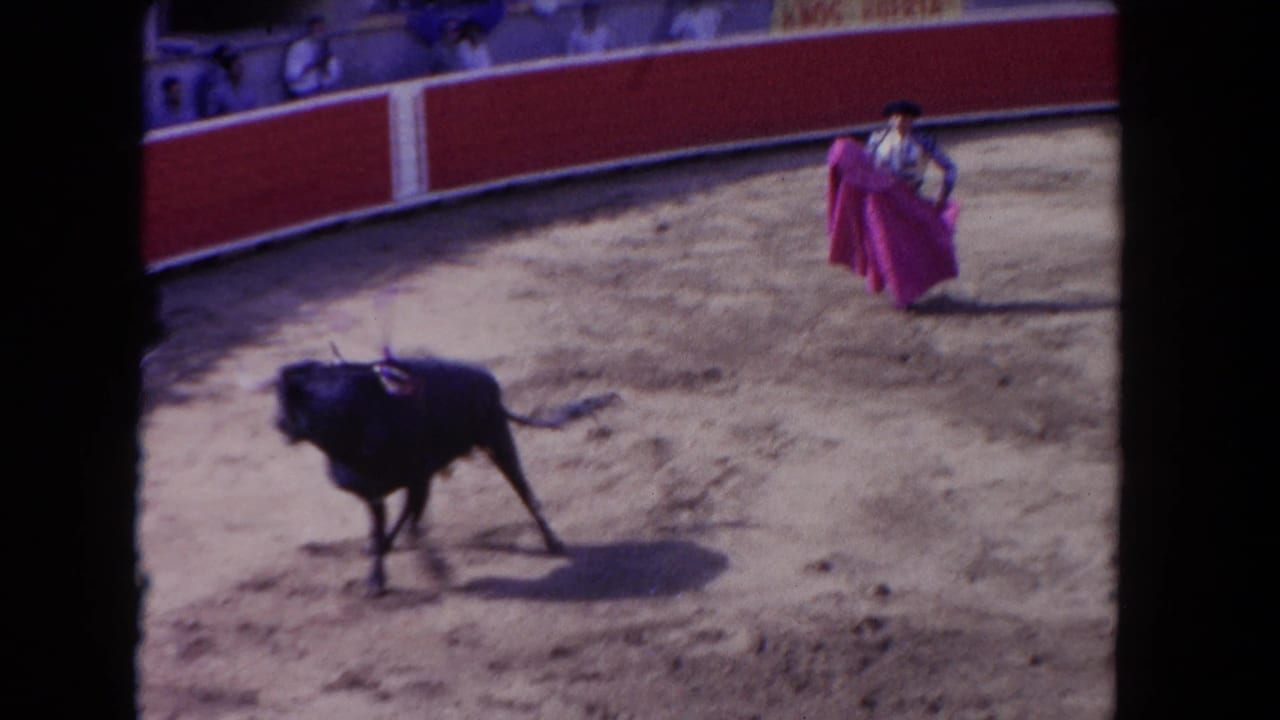 Bull crosses the sandy arena while a matador holds a pink cape in the distance.