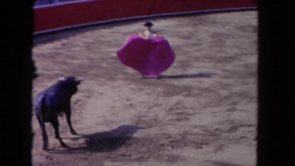 A home-movie frame from the Los Angeles bullfight shows the bull watching the torero, who presents a purple cape in the sandy ring.