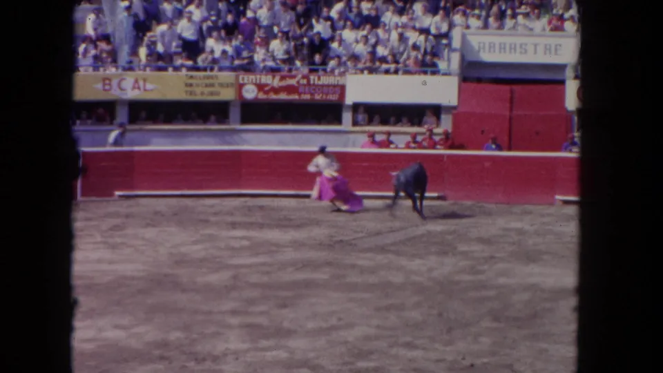 1962 Los Angeles arena view with a matador in light clothing holding a pink cape before a black bull.