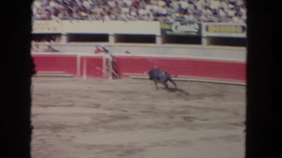 1962 Los Angeles 8mm frame with a black bull charging across the ring inside a red-walled arena before a seated crowd.