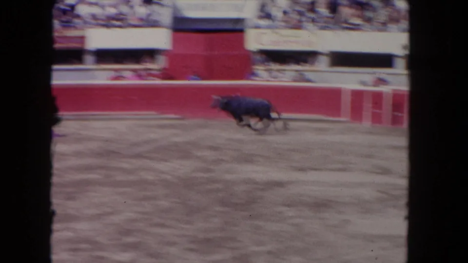 1962 Los Angeles 8mm frame showing a black bull moving quickly along the red-fenced ring with spectators and signage in the background.