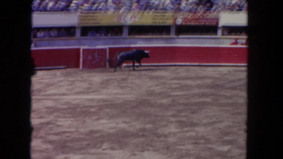 1962 Los Angeles home-movie frame showing a dark bull moving along the arena wall with spectators and partially legible signage above.