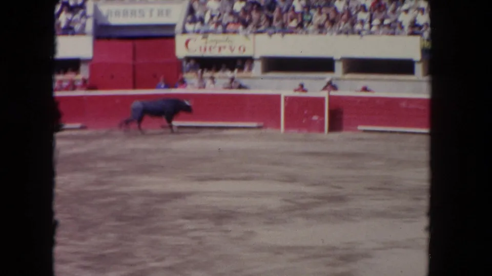 1962 Los Angeles home-movie frame showing a bull moving past red arena gates, with spectators and a visible Cuervo advertisement overhead.