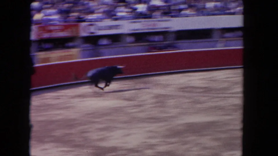 1962 Los Angeles 8mm frame with a dark bull moving across a bullring as spectators watch from blurred bleachers.