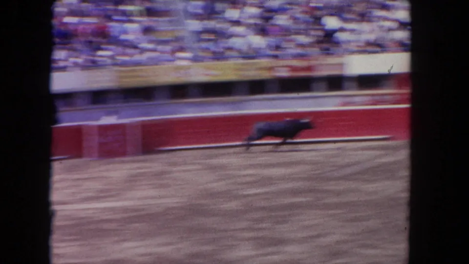 1962 Los Angeles 8mm frame showing a bull crossing the ring, with spectators blurred above the red arena barrier.
