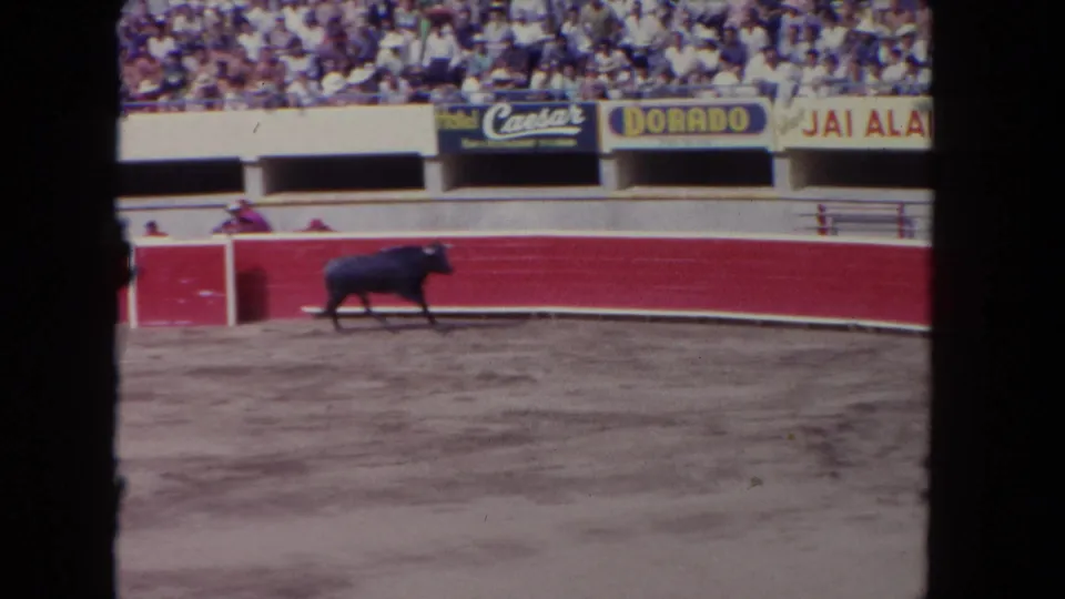 1962 Los Angeles 8mm frame showing a bull near the arena boards, with spectators and visible wall signage in the background.