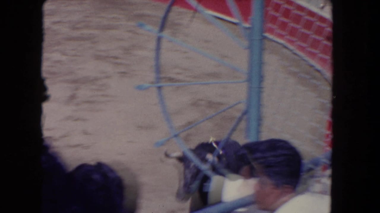 Bull near the arena edge partly blocked by blue metal railwork and spectators.