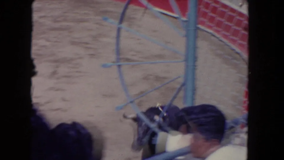 1962 Los Angeles arena view with a dark bull near the edge of the ring, partly obscured by blue metal railwork and spectator heads.