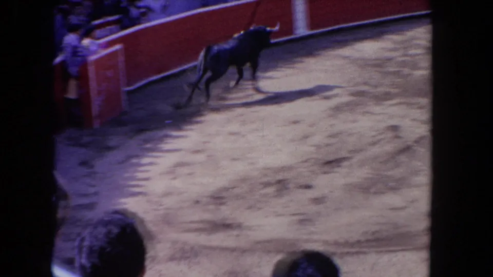 1962 Los Angeles home-movie frame showing a dark bull moving along red arena boards, with spectators and blue railwork visible from a high angle.