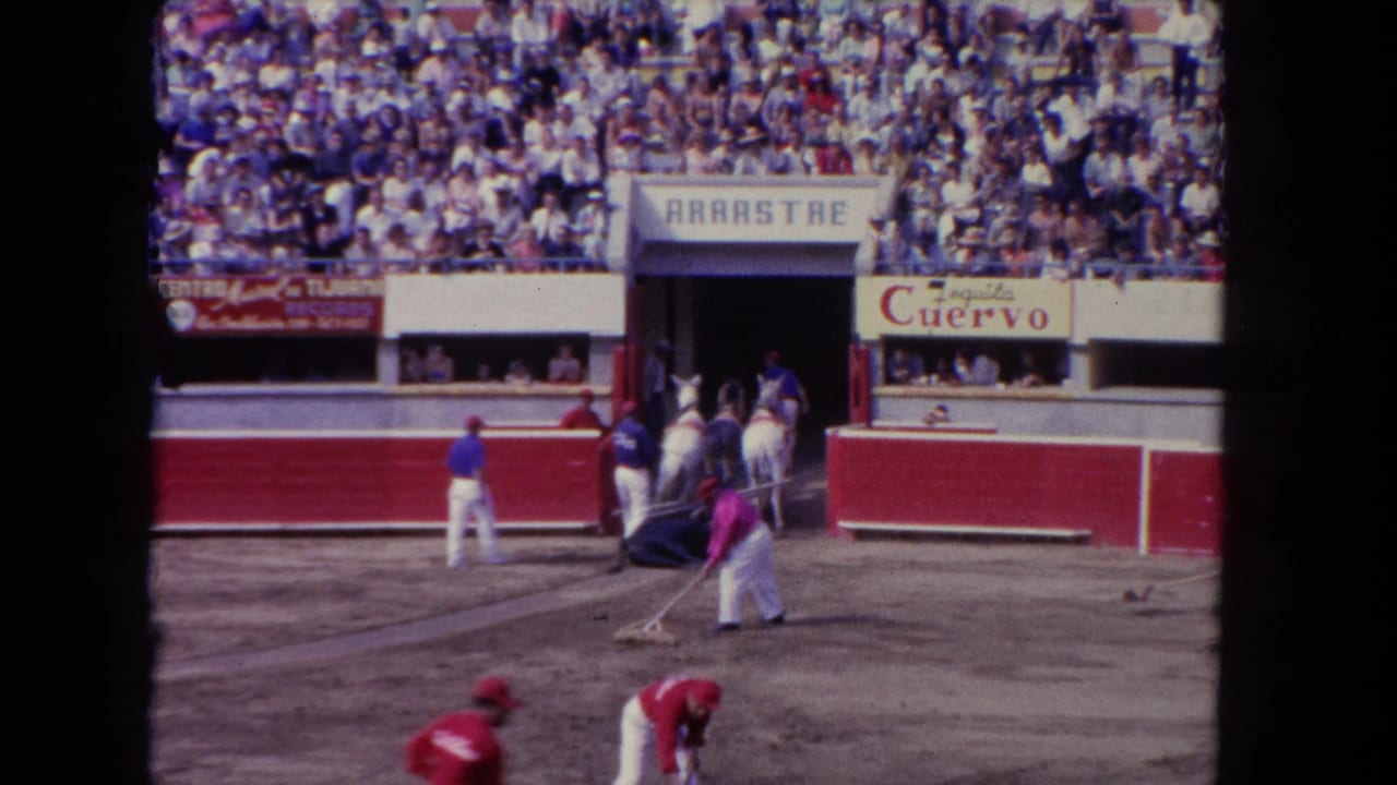 Arena staff and horses near the arrastre entrance while spectators watch from the stands.