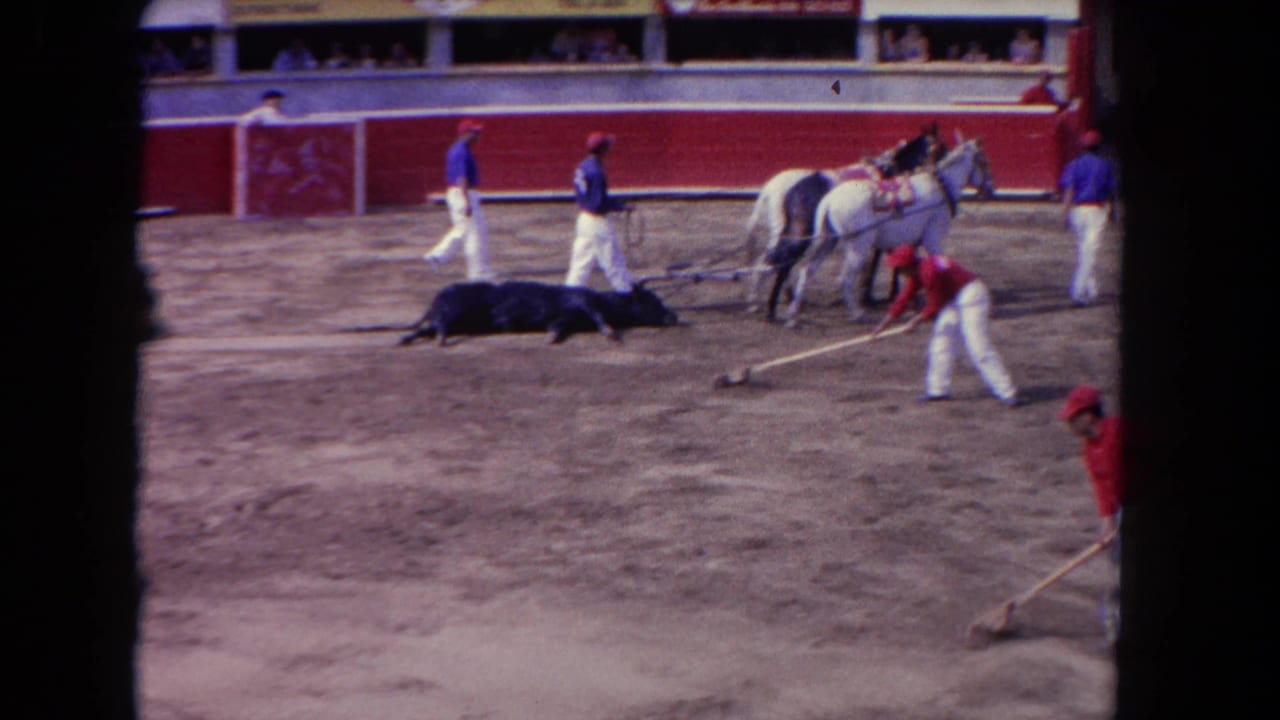 Workers with shovels move across the arena as horses stand beside a motionless bull.
