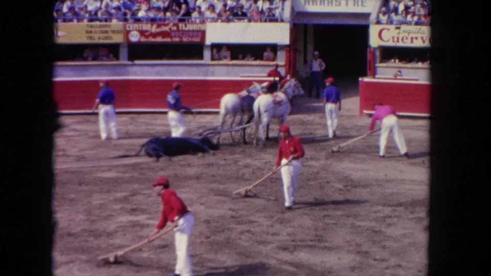 Home-movie view of bullfighting aftermath in Los Angeles, with shovel work, horses, crowd seating, and signs above the arena wall.