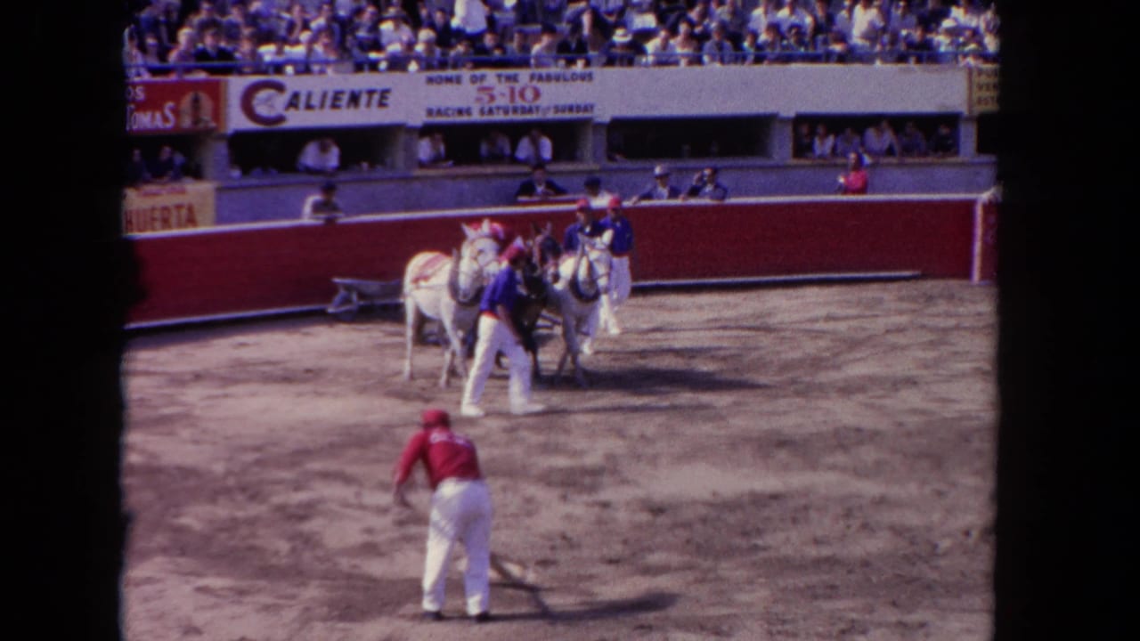 1962 Los Angeles racetrack scene with handlers around white horses, a worker sweeping dirt, spectators, and visible advertising on the wall.