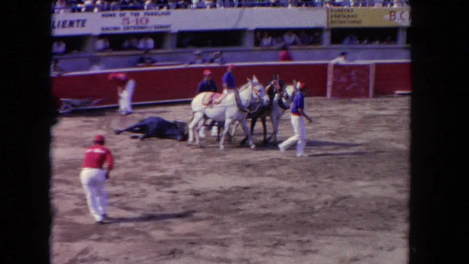 1962 Los Angeles 8mm frame showing a dark animal on the dirt track, workers, handlers, white horses, and spectators in the stands.