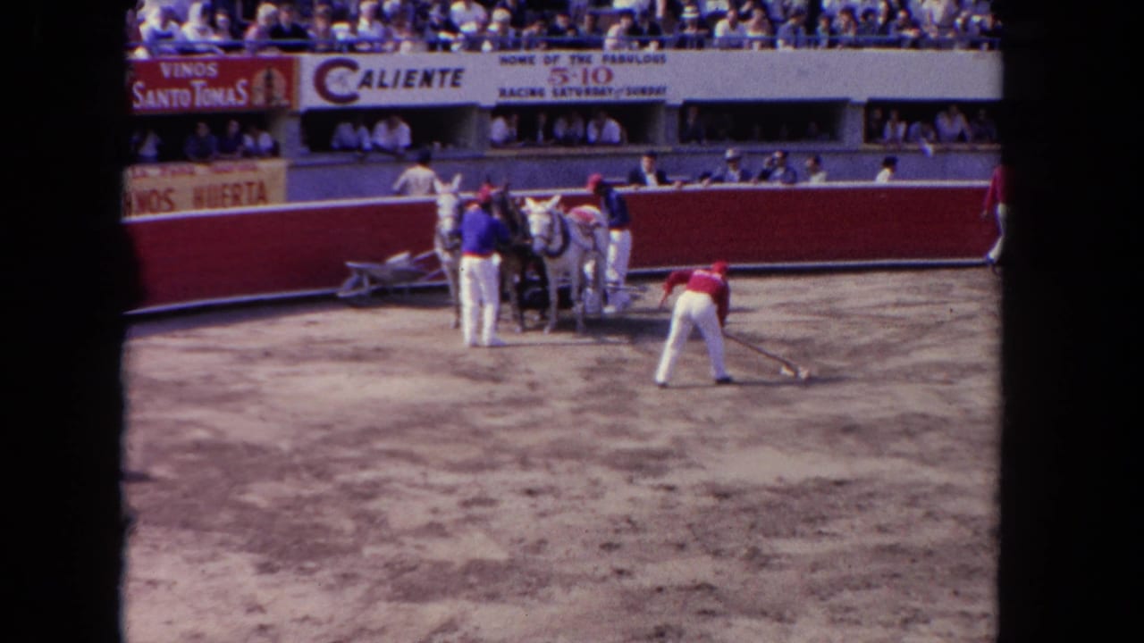 A worker rakes the dirt ring while others stand with horses near the barrier.