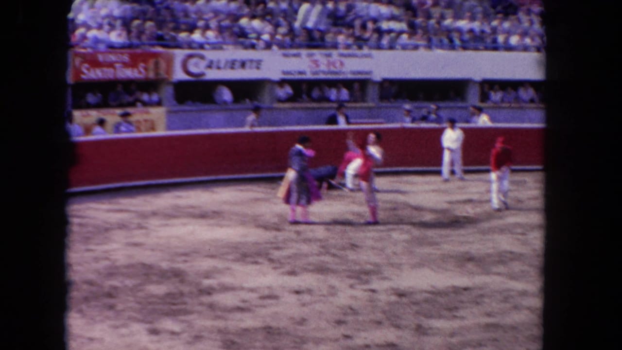 Workers and matadors stand in a dirt bullring before a crowded arena wall with signs.