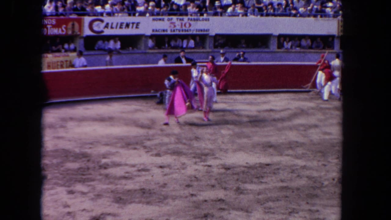 Matadors and handlers move across a sandy bullring while spectators watch from behind the wall.