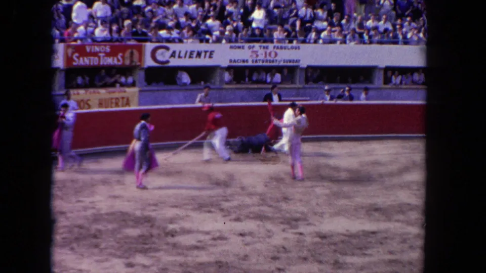 A bull lies near the arena wall as handlers and matadors move around it in the 1962 Los Angeles bullfighting event footage.