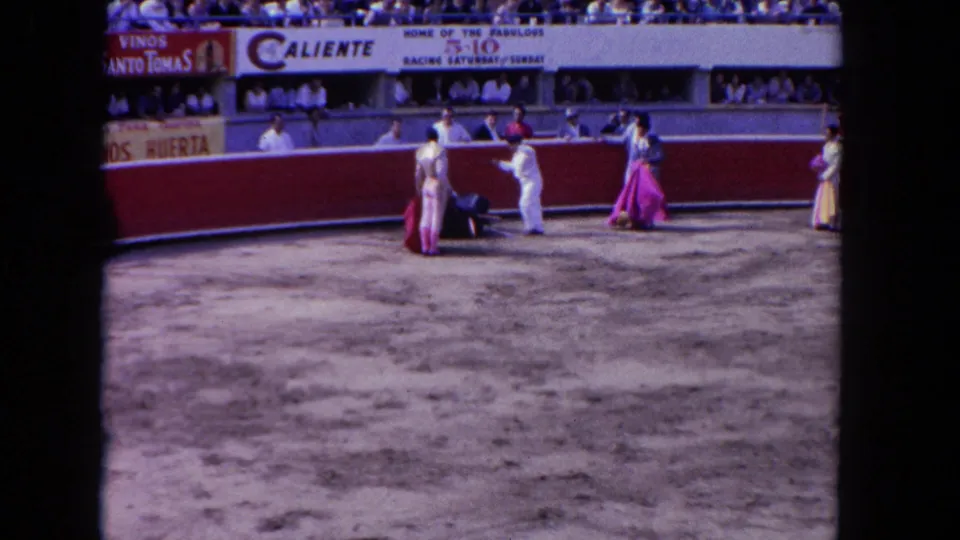 1962 Los Angeles bullfighting-style scene with performers and capes near the barrier, including a dark animal shape low in the arena.
