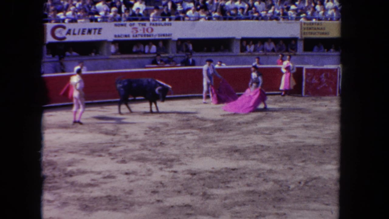 A black bull moves toward matadors holding bright capes in front of spectators.