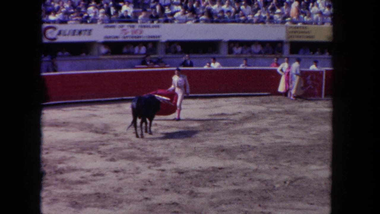 Matador with pink cape faces a dark bull in a sandy arena before spectator stands.