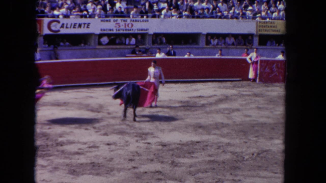 Dark bull approaches a pink cape while spectators sit above the arena wall.