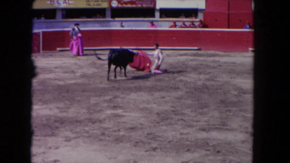 A bull stands close to the cape while two performers in bright clothing remain inside the Los Angeles arena.