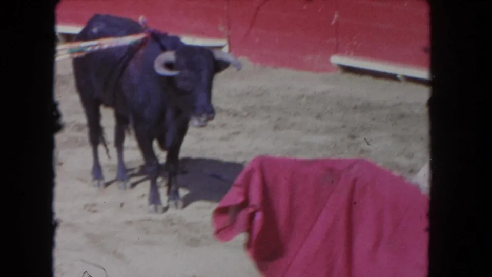 The bull, carrying banderillas, stands on sandy ground as a red cape enters the foreground.