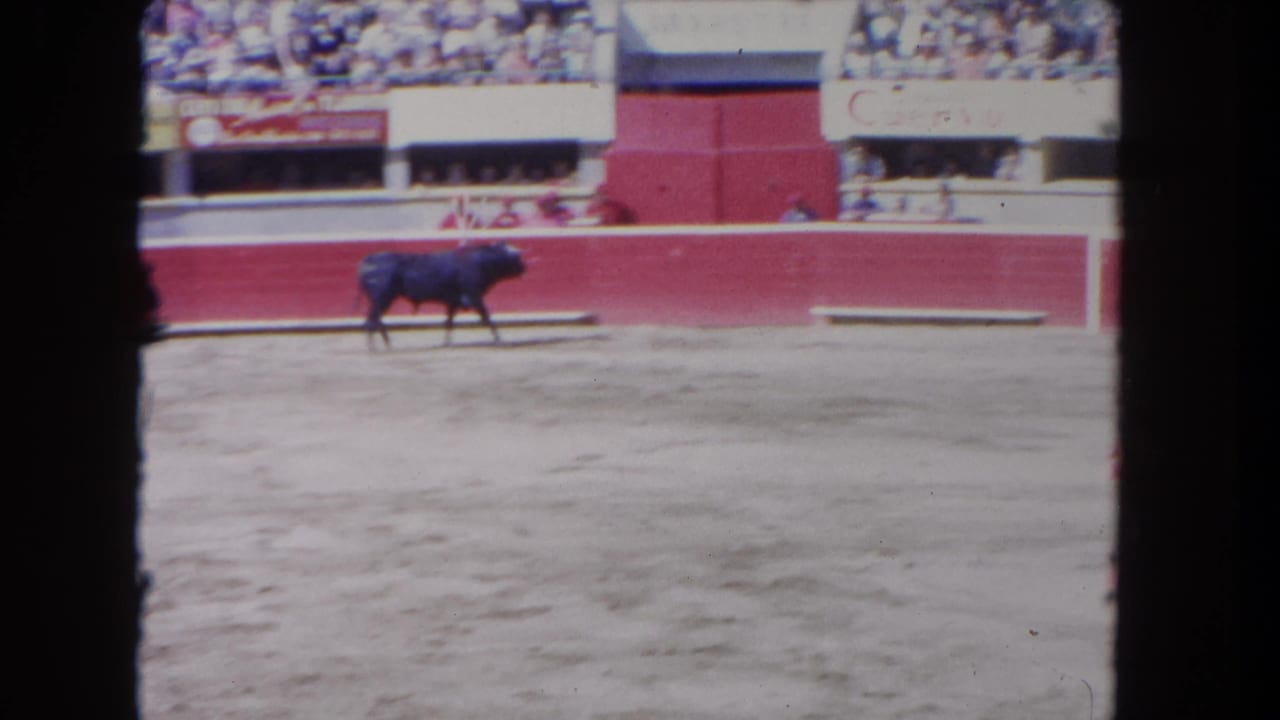 1962 Los Angeles 8mm frame with a black bull moving through the ring, red barriers and seated spectators visible in the background.