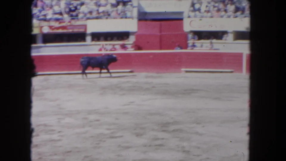 1962 Los Angeles 8mm frame with a black bull moving through the ring, red barriers and seated spectators visible in the background.