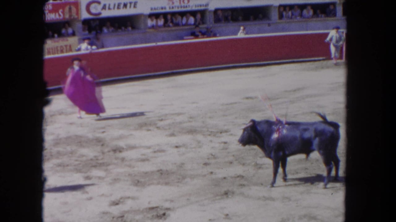 1962 Los Angeles arena scene with a matador displaying a purple cape before a black bull, spectators, and wall signs.