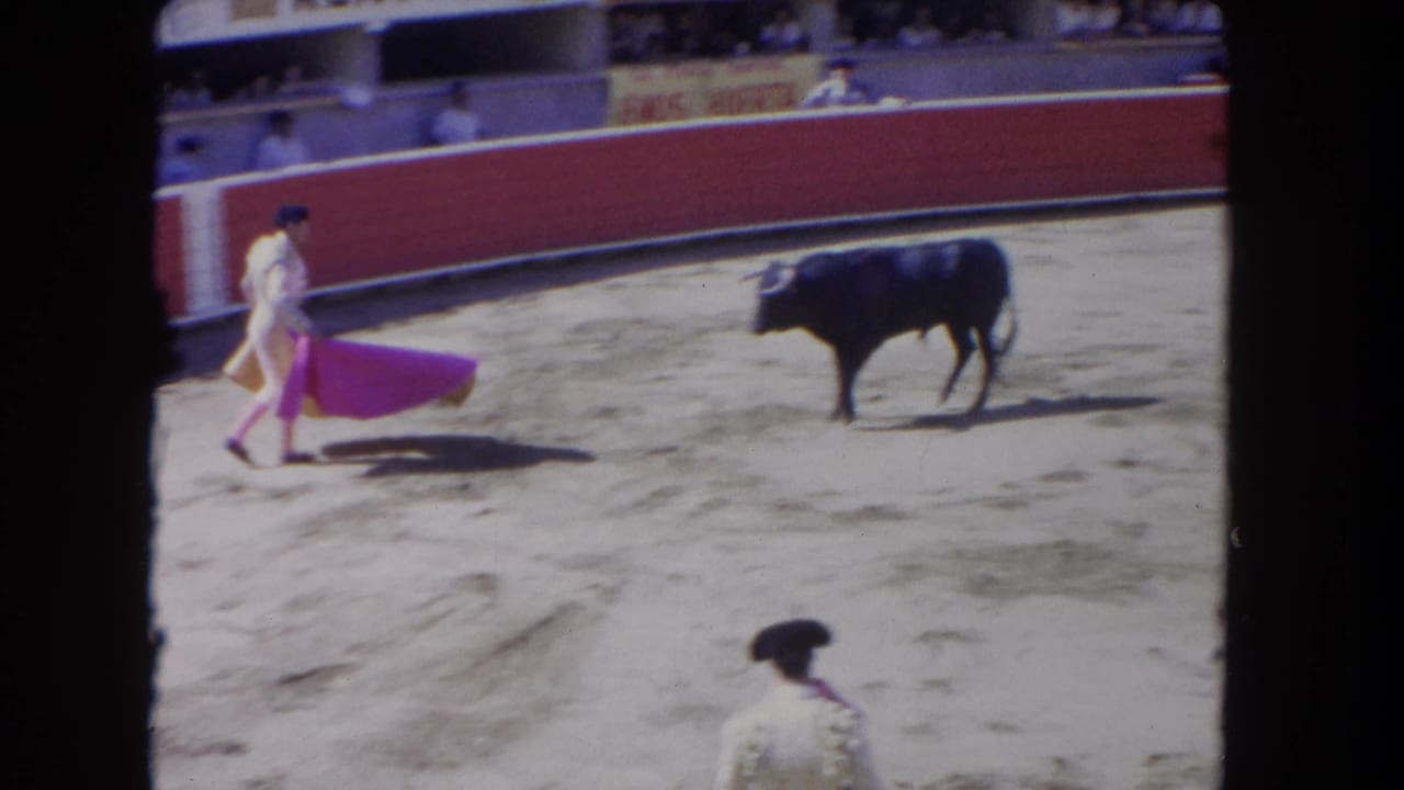 Matador with a pink cape faces a dark bull in a sandy arena.