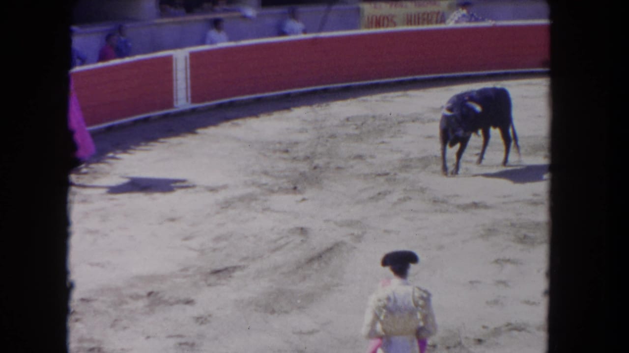 Bull stands near the arena edge while a matador's cape appears at left.