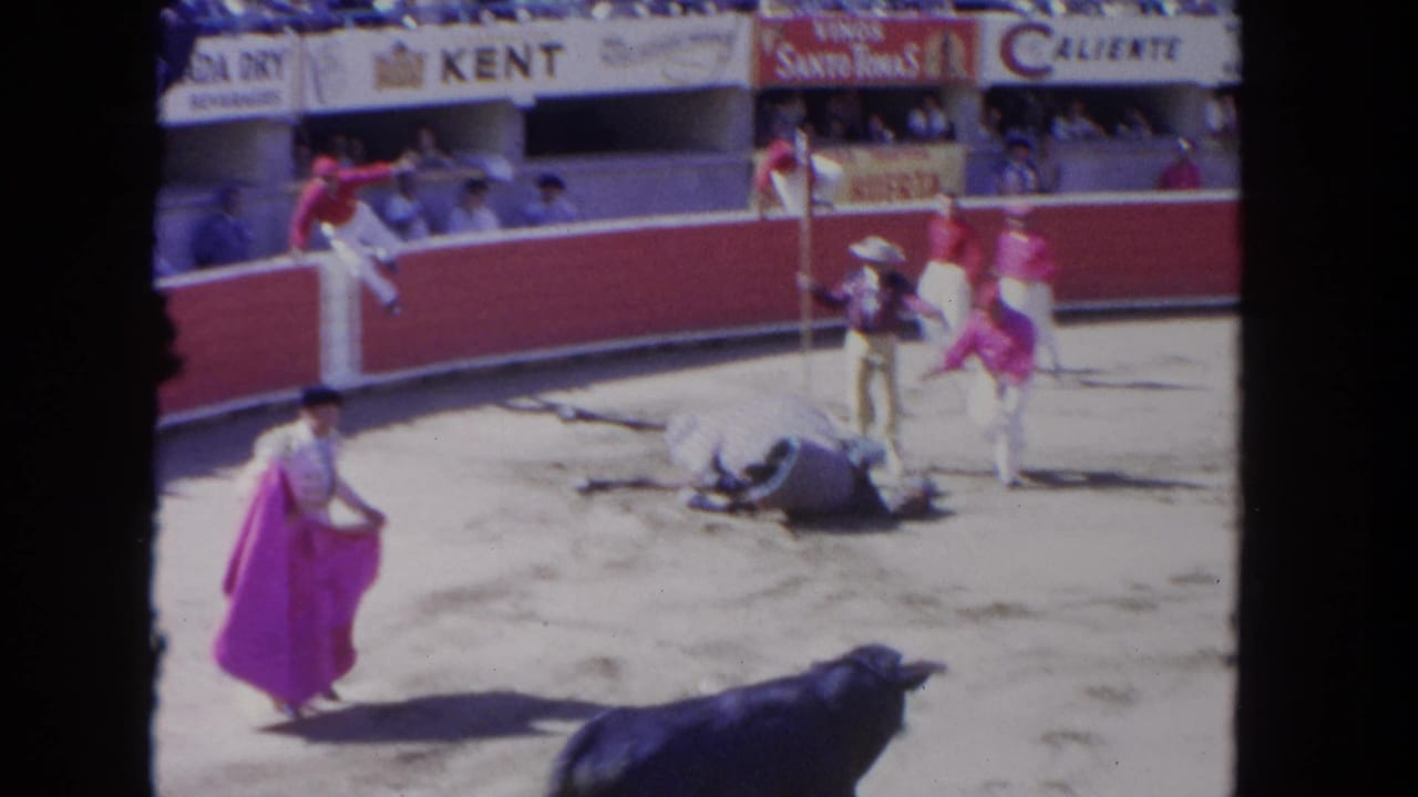 1962 Los Angeles bullfighting scene with a dark bull in the foreground and matadors near a motionless bull by the arena wall.