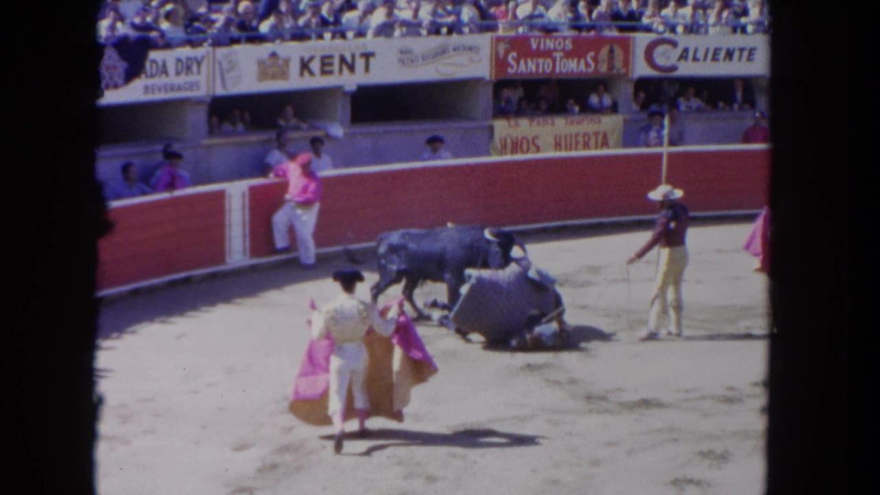 Bull lowers toward a fallen figure while matadors stand nearby in the arena.
