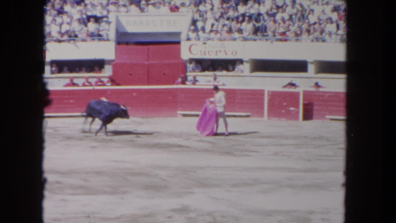Black bull faces a matador holding a pink cape in a sandy arena before crowded stands.