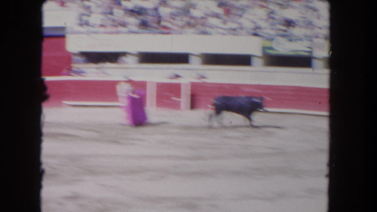 Bull moves across the arena as the matador stands nearby with a pink cape.