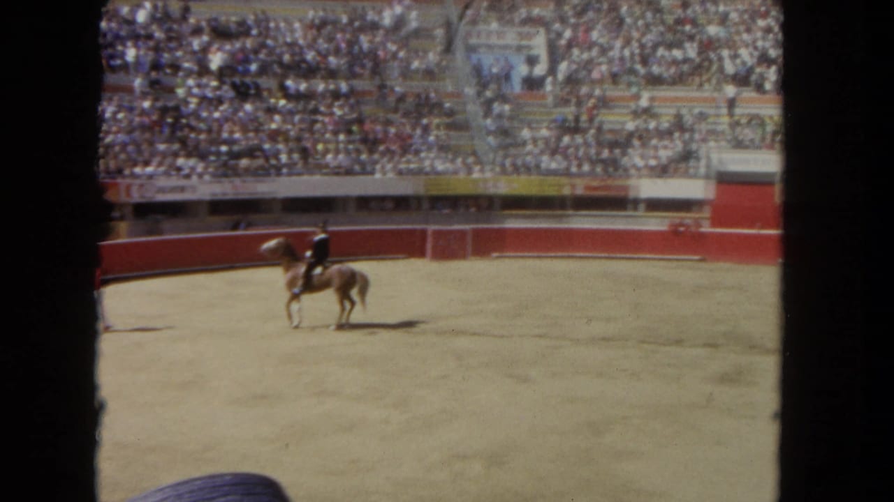 Mounted rider in a sandy arena with crowded stadium seating behind red barriers.