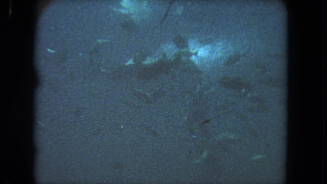 A faint scuba diver appears in blue-green water in this 1962 Los Angeles underwater home-movie frame.