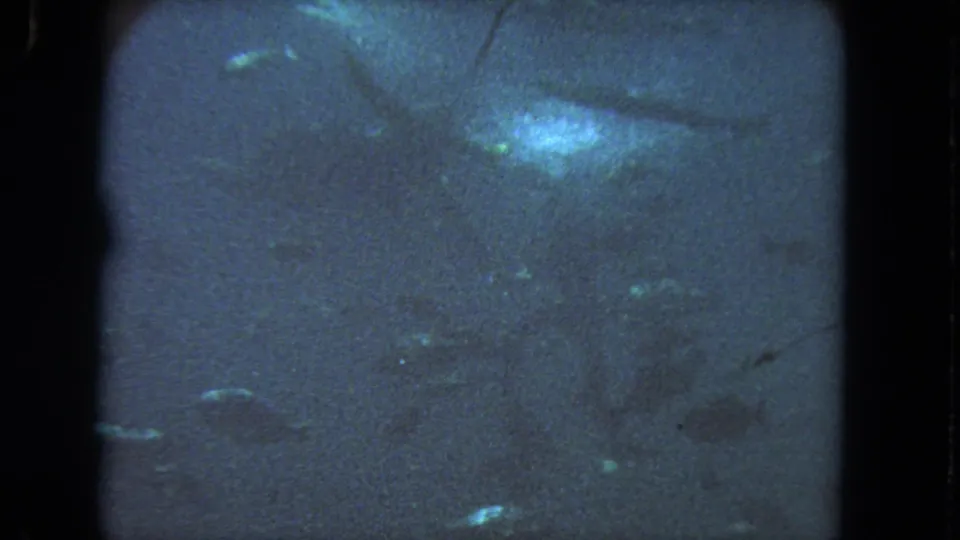 1962 Los Angeles 8mm underwater footage showing dim blue water, faint fish silhouettes, surface glare, grain, and dark film borders.