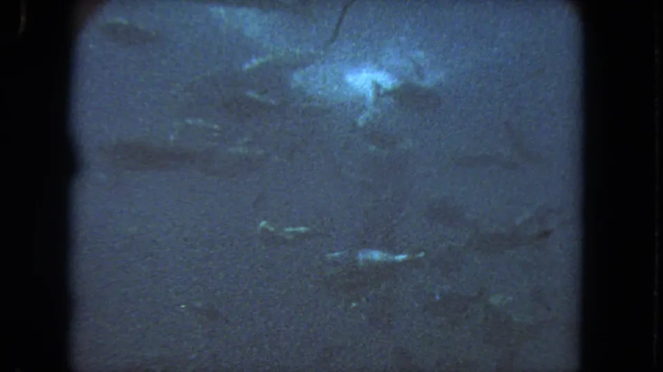 1962 Los Angeles underwater home-movie frame with a diver-like form above small fish in murky water.