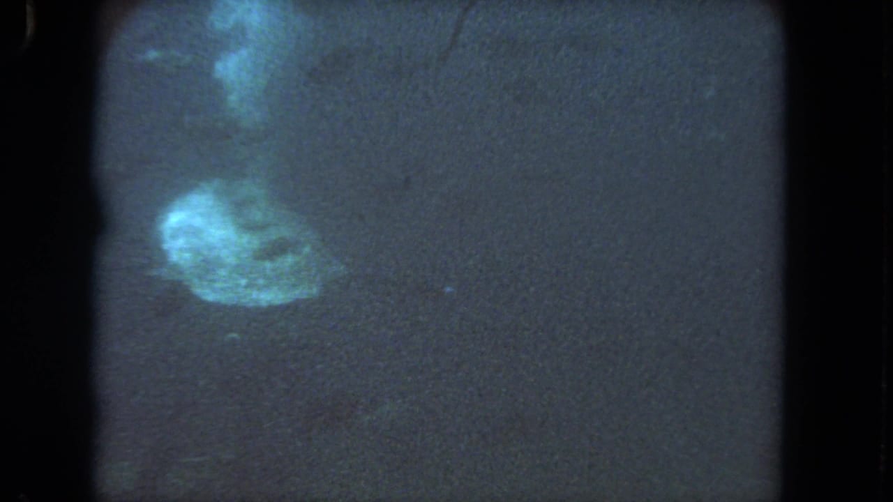 1962 Los Angeles 8mm frame showing a large sea turtle moving through dim blue-green water, likely in an aquarium or marine exhibit.