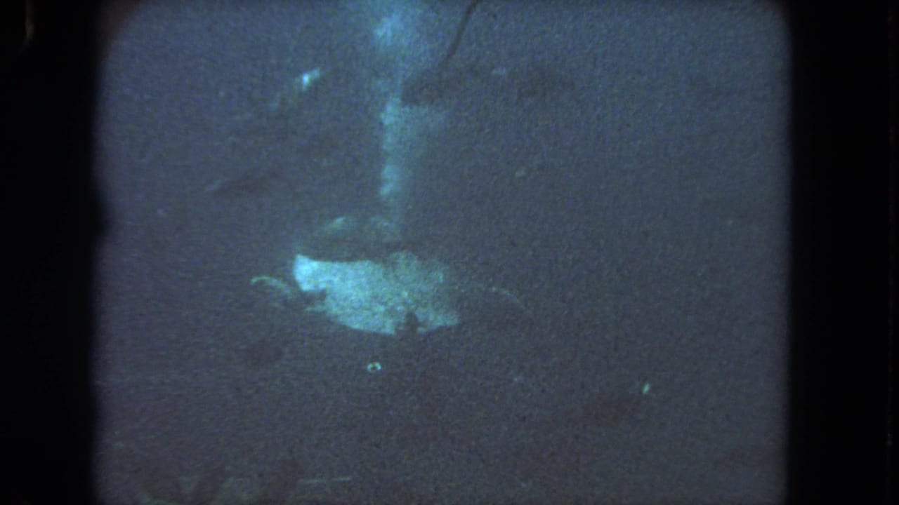 1962 Los Angeles 8mm frame of a sea turtle gliding through low-light blue-green water, with the film gate visible at the edges.